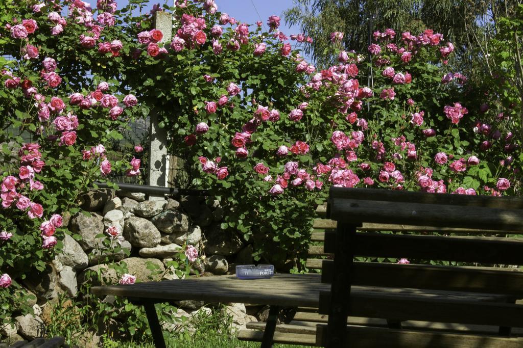 Marrùbiu Il Vecchioliveto Di Ornella Bed & Breakfast エクステリア 写真