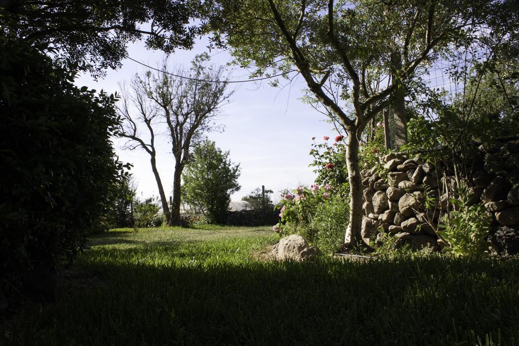 Marrùbiu Il Vecchioliveto Di Ornella Bed & Breakfast エクステリア 写真