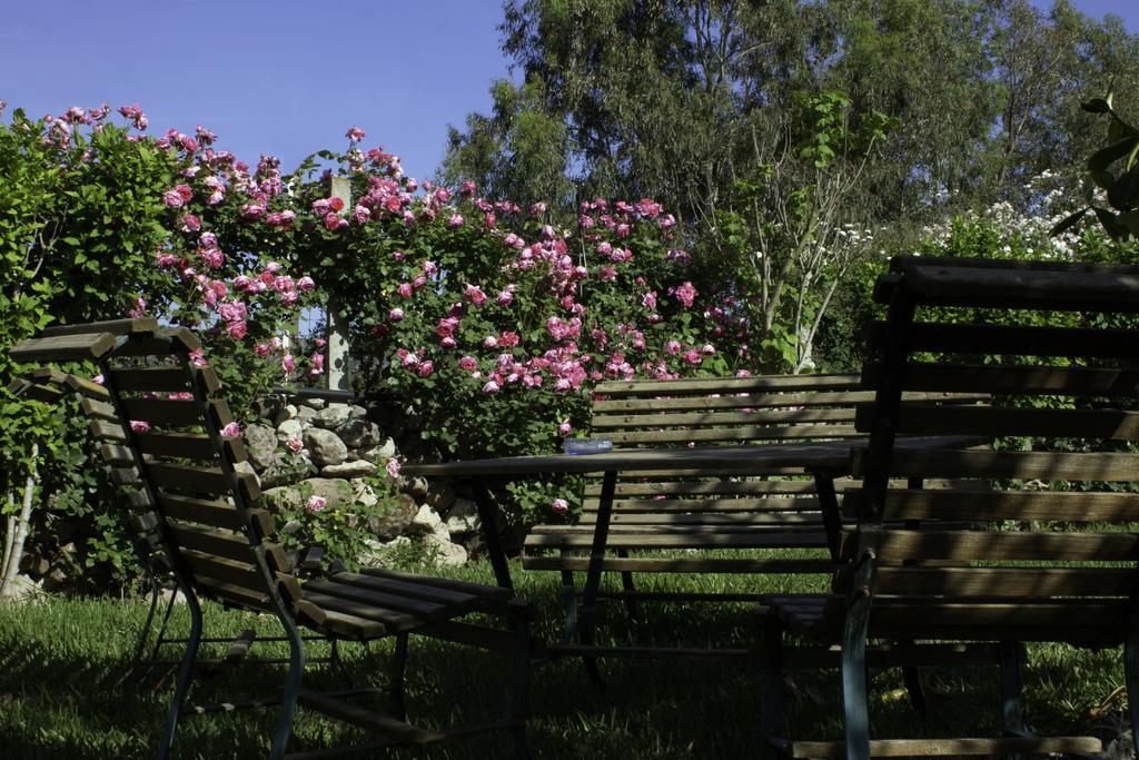 Marrùbiu Il Vecchioliveto Di Ornella Bed & Breakfast エクステリア 写真