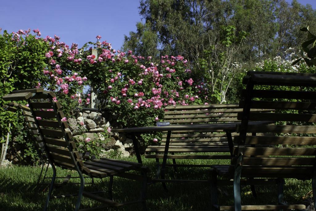 Marrùbiu Il Vecchioliveto Di Ornella Bed & Breakfast エクステリア 写真