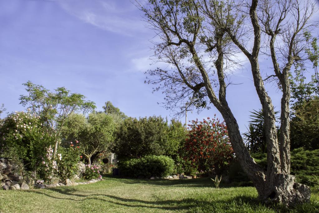 Marrùbiu Il Vecchioliveto Di Ornella Bed & Breakfast エクステリア 写真