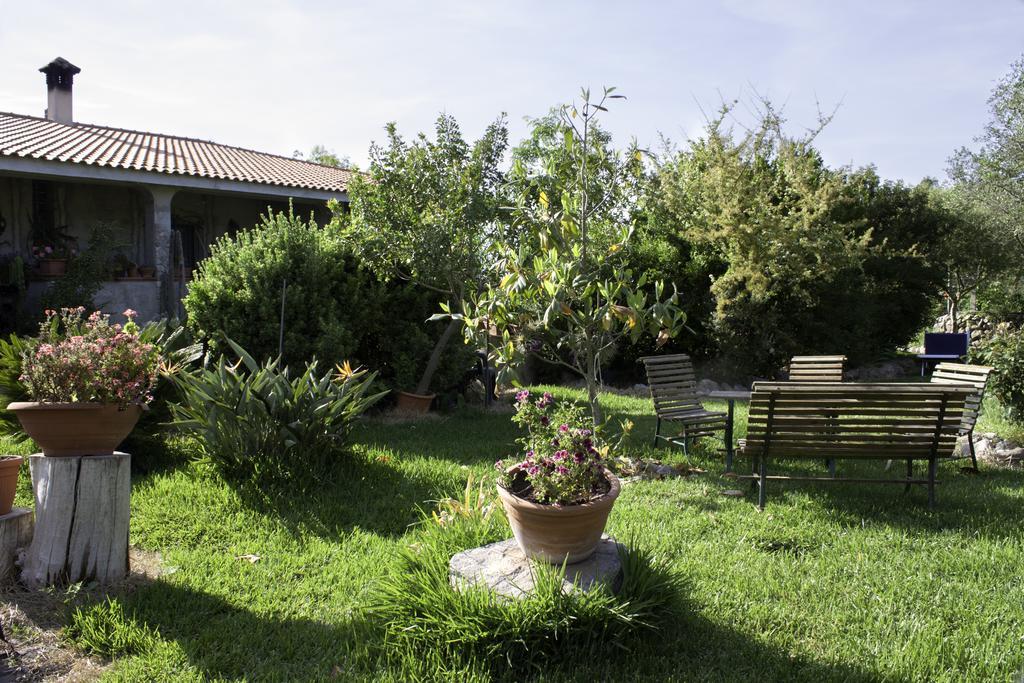 Marrùbiu Il Vecchioliveto Di Ornella Bed & Breakfast エクステリア 写真