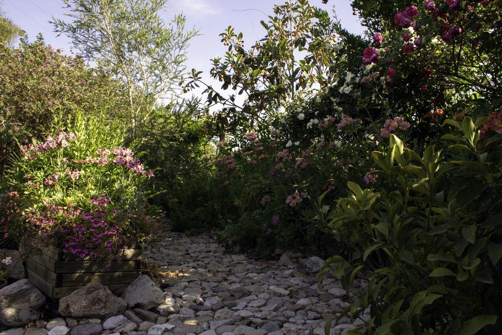 Marrùbiu Il Vecchioliveto Di Ornella Bed & Breakfast エクステリア 写真